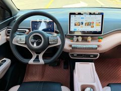 BYD Seagull Glory Edition 305km Vitality Version - ფოტო 14