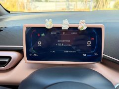 BYD Seagull Glory Edition 305km Vitality Version - ფოტო 15