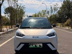 BYD Seagull Glory Edition 305km Vitality Version - ფოტო 2