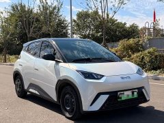 BYD Seagull Glory Edition 305km Vitality Version - ფოტო 3