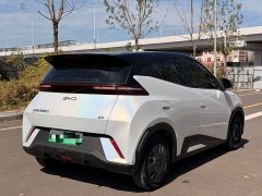 BYD Seagull Glory Edition 305km Vitality Version - ფოტო 6