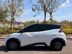 BYD Seagull Glory Edition 305km Vitality Version - ფოტო 8
