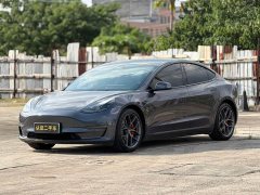 Tesla Model 3 2022 Performance All-Wheel Drive - ფოტო 1