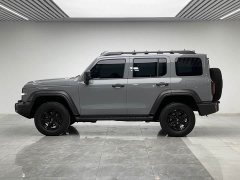 Tank 300 Off-Road Edition 2.0T Conqueror - ფოტო 7