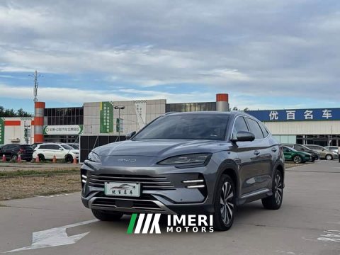 2024 BYD Song Plus New Energy 2023 Champion Edition DM-i 110KM Flagship - ავტომობილი ჩინეთიდან