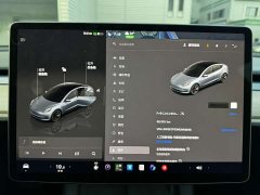 Tesla Model 3 Rear-Wheel Drive - ფოტო 8