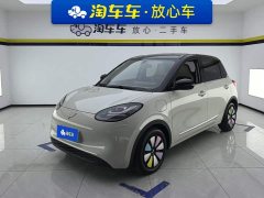 Wuling Binguo 333km Joy Edition - ფოტო 1
