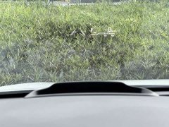 Toyota Emgrand S12 Grevias 2.5L Hybrid Premium Plus Edition - ფოტო 13