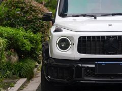 Mercedes-Benz G-Class G 500 - ფოტო 7