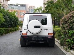 Mercedes-Benz G-Class G 500 - ფოტო 9