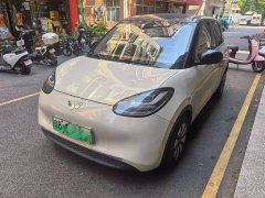 Wuling Binguo 2023 333km Joy Edition - ფოტო 1