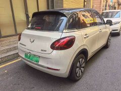 Wuling Binguo 2023 333km Joy Edition - ფოტო 3