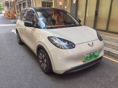 Wuling Binguo 2023 333km Joy Edition - ფოტო 4