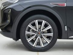 FAW Red Flag HS7 PHEV 2.0T PHEV AWD 2 Million Units Anniversary Edition 6-Seater - ფოტო 14