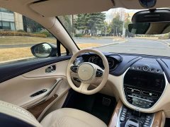 Aston Martin DBX 4.0T V8 Enigma - ფოტო 18