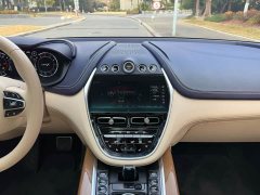Aston Martin DBX 4.0T V8 Enigma - ფოტო 19