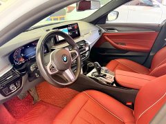BMW 5 Series 530Li Premier M Sport Package - ფოტო 16