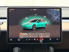 Tesla Model 3 Rear-Wheel Drive - ფოტო 13