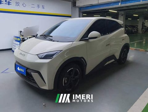2023 BYD Seagull Freedom Edition - ავტომობილი ჩინეთიდან
