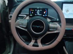BYD Seagull Freedom Edition - ფოტო 15