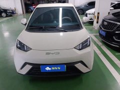 BYD Seagull Freedom Edition - ფოტო 2