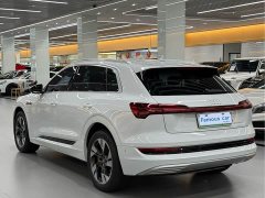 Audi e-tron (Imported) 2019 55 quattro Technik - ფოტო 7