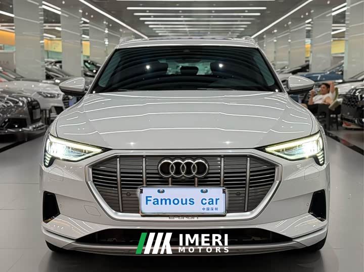 Audi e-tron (Imported) 2019 55 quattro Technik - ავტომობილი ჩინეთიდან