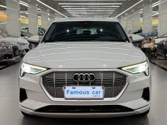 Audi e-tron (Imported) 2019 55 quattro Technik - ფოტო 1
