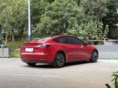 Tesla Model 3 Facelift Standard Range RWD Upgrade 3D1 - ფოტო 2