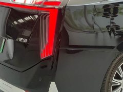 GAC Aion E9 Champion Edition - ფოტო 3