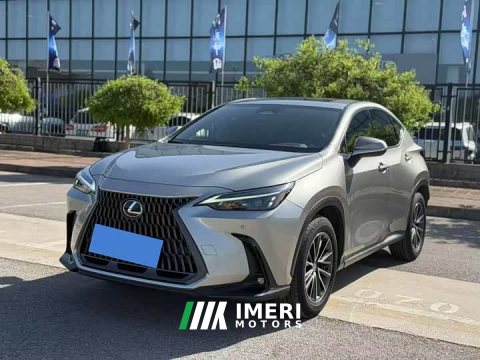 2023 Lexus NX 260 FWD Joyful Edition - ავტომობილი ჩინეთიდან