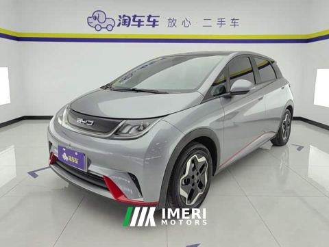 2022 BYD Dolphin 405km Fashion Edition