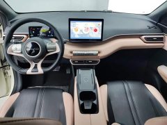 BYD Seagull Freedom Edition - ფოტო 12