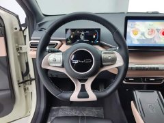 BYD Seagull Freedom Edition - ფოტო 15