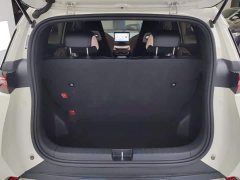 BYD Seagull Freedom Edition - ფოტო 4