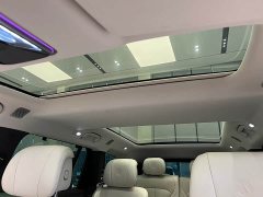 Denza BYD Denza N9 Premium Edition - ფოტო 10
