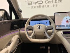 Denza BYD Denza N9 Premium Edition - ფოტო 12