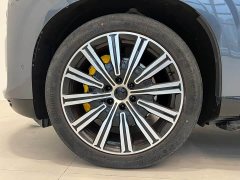 Denza BYD Denza N9 Premium Edition - ფოტო 15
