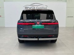 Denza BYD Denza N9 Premium Edition - ფოტო 16