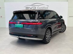 Denza BYD Denza N9 Premium Edition - ფოტო 17
