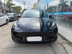 Tesla Model Y Rear-Wheel Drive - ფოტო 2