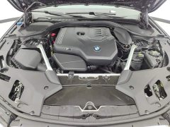 BMW 5 Series Facelift 530Li Premier M Sport Package - ფოტო 10