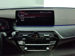 BMW 5 Series Facelift 530Li Premier M Sport Package - ფოტო 13