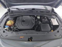 Geely Xingui Xingrui Facelift 2.0T Diesel Premium - фото 10