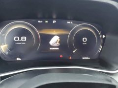 Geely Xingui Xingrui Facelift 2.0T Diesel Premium - фото 14