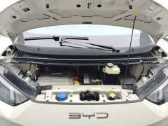 BYD Seagull Flying Edition - ფოტო 10