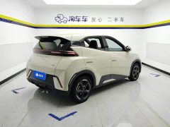 BYD Seagull Flying Edition - ფოტო 3