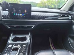 BYD Qin Plus EV 400KM Leading Comfort Edition - ფოტო 15