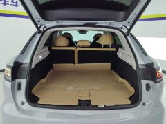 Leapmotor Leapo C11 Extended Range 300 Deluxe Edition - ფოტო 4
