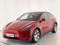 Tesla Model Y Long Range All-Wheel Drive 3D7 - ფოტო 1